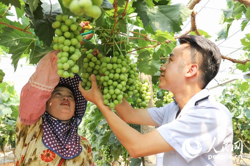 税务部门走进葡萄园区、酿酒企业和零售商铺,通过“一对一”开展涉税辅导服务。受访对象供图