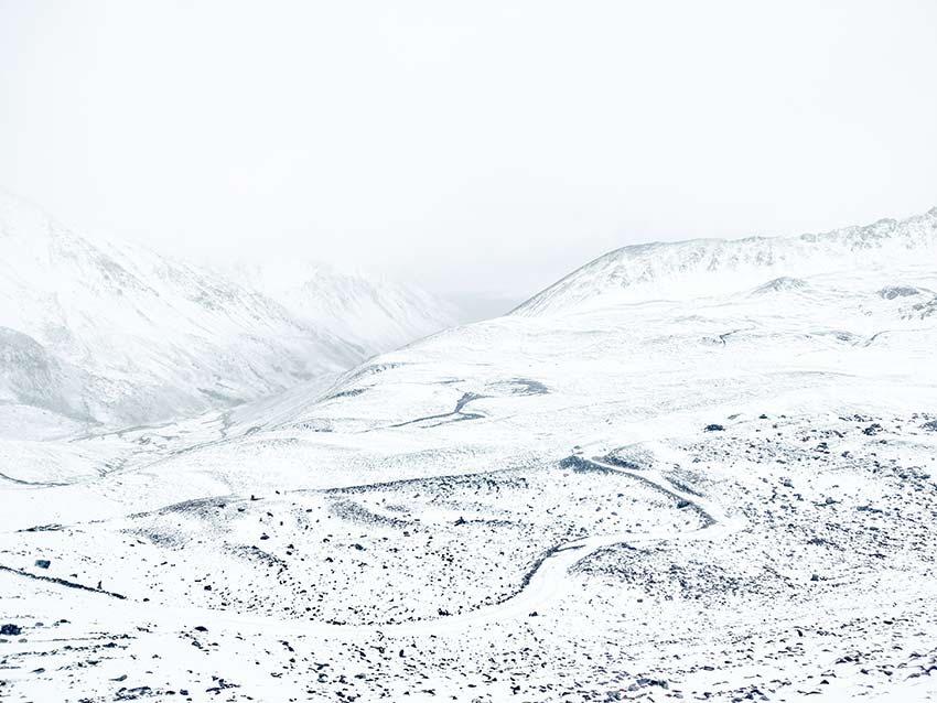 资料图。云南白马雪山国家级自然保护区供图