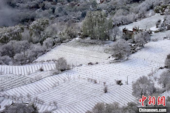 雪后的高山田间如画。　李永安 摄