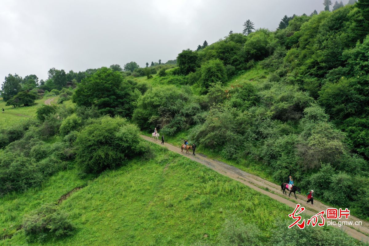 四川九寨沟：生态旅游渐热