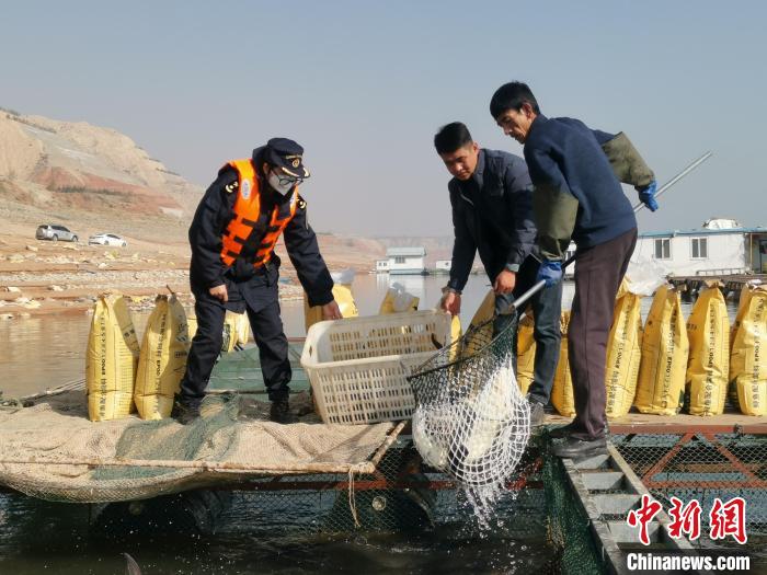 甘肃牦牛乳制品拓展南亚合作民族特色产品闯海外市场