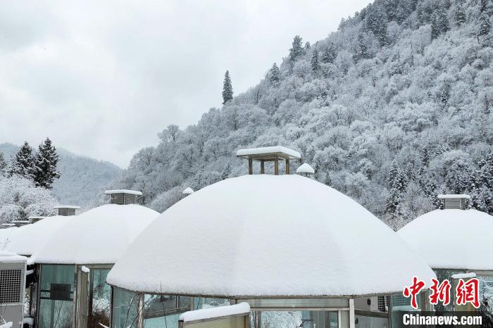 大熊猫国家公园王朗片区春雪如画，宛若仙境。　罗春平 摄