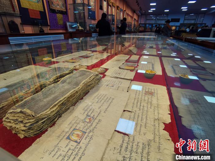 图为陈展的古籍。　张添福 摄