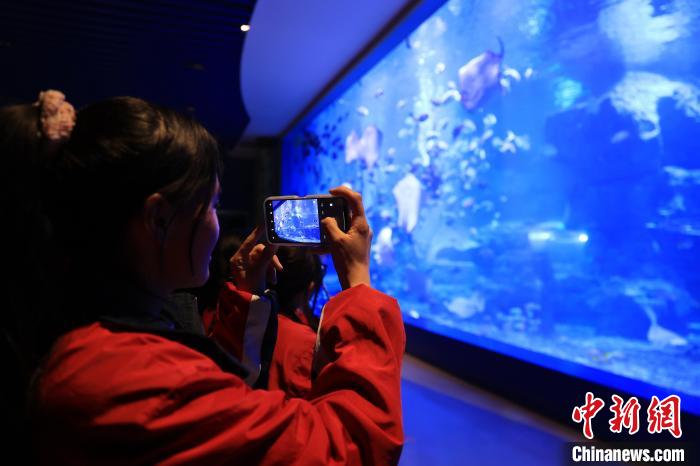 青海藏乡学子化身“驯养师”感受海洋生物习性