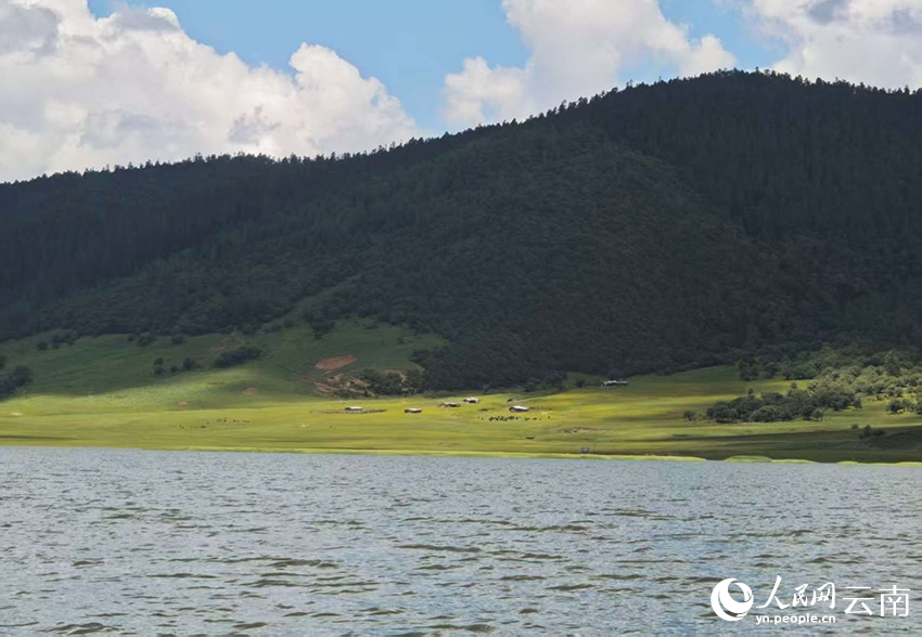 迪庆香格里拉普达措公园夏日风景如画。人民网记者 木胜玉摄
