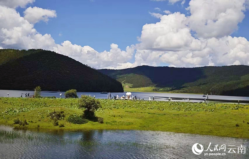 迪庆香格里拉普达措公园夏日风景如画。人民网记者 木胜玉摄