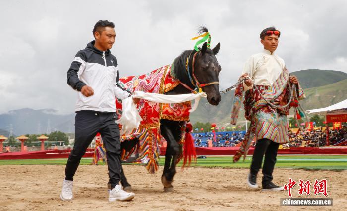 青海玉树赛马会：上演马背上的“速度与激情”