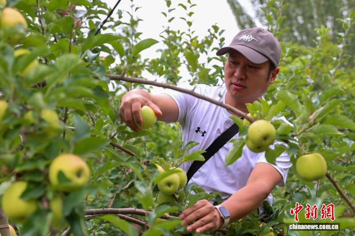 青海尖扎：果蔬迎来丰收季