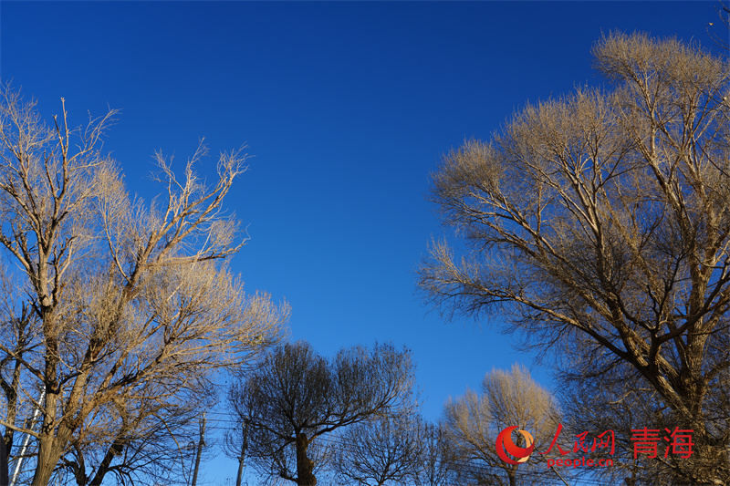 格尔木将军楼公园冬日景色。人民网 马可欣摄