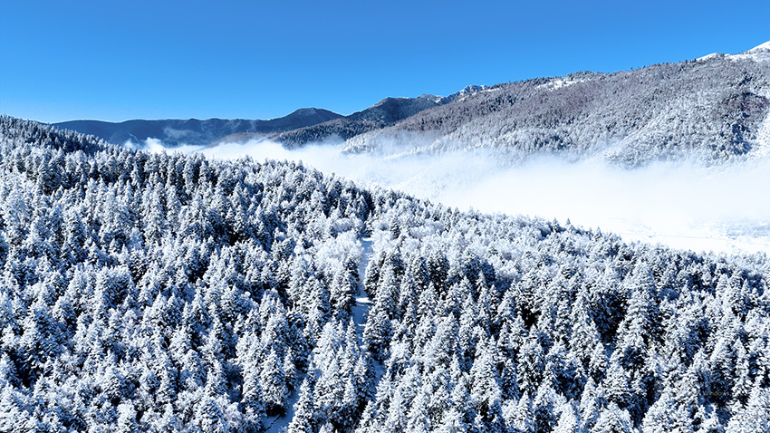 雪后普达措银装素裹，美不胜收。普达措景区供图