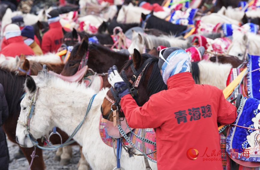 为登山者驮运物资的当地马队。人民网记者 甘海琼摄