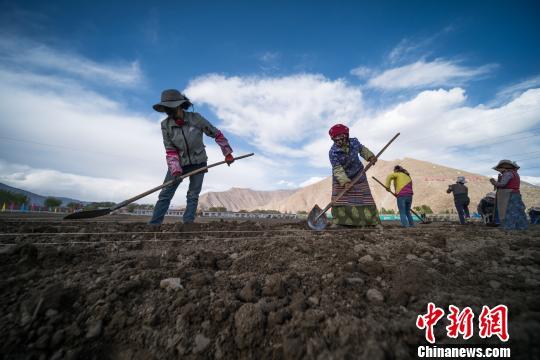 西藏拉萨净土健康产业助农牧民增收