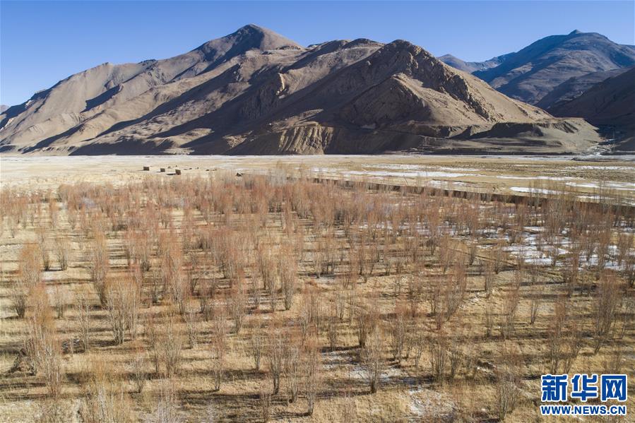 （新春走基层·图文互动）（6）守土与乡愁——走进珠峰脚下的村庄