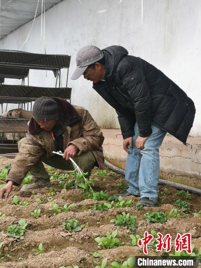 图为尼玛扎西(右)与西藏农民聊天(资料图)。西藏农科院 供图