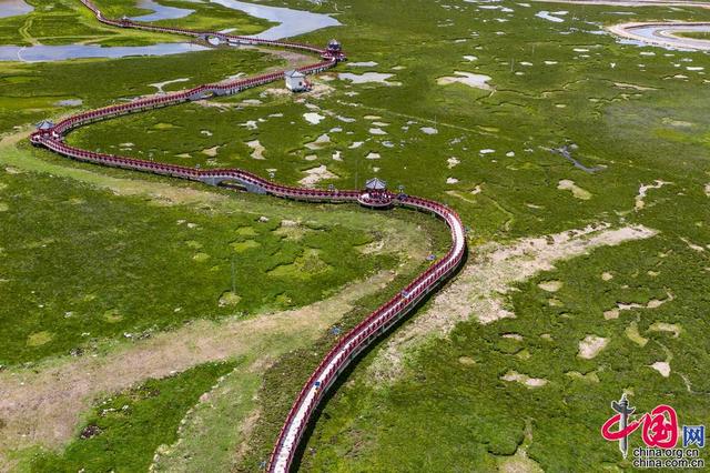 【重走天路看变迁】飞越高原美肺 海拔4700米的聂荣湿地公园