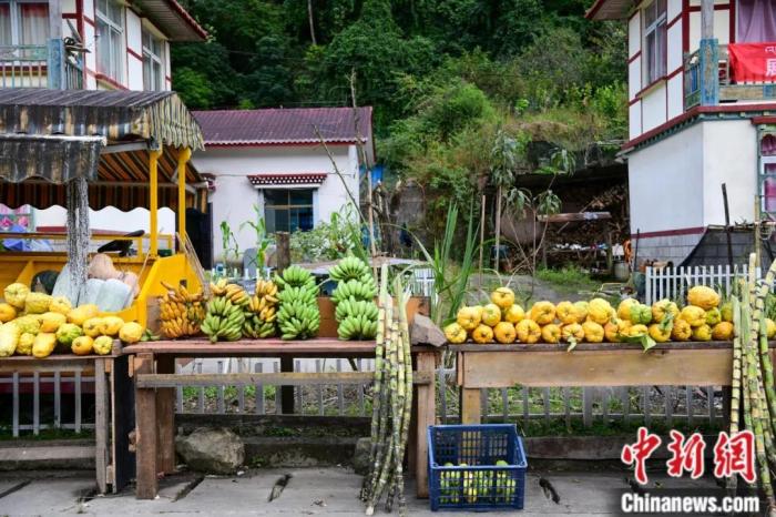 墨脱公路沿线，百姓摆摊销售当地物产，包含香蕉、甘蔗、柠檬等。(<a target='_blank' href='/'><p  align=