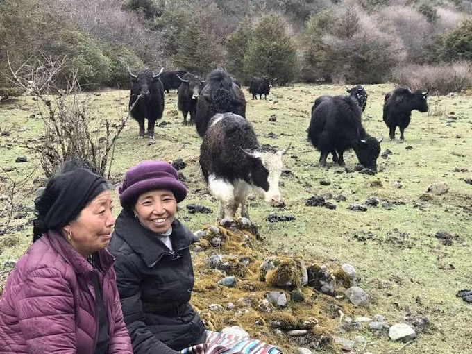 大美边疆行丨西藏：固边兴边富民 打造高原边疆美丽新画卷