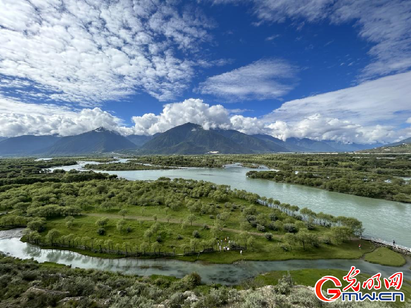 我们的家园丨雅尼国家湿地公园：荒草滩“换装”绿水青山 生态游送来“金山银山”