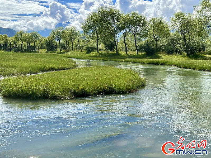 我们的家园丨【组图】 绿水青山入画，“金山银山”筑起