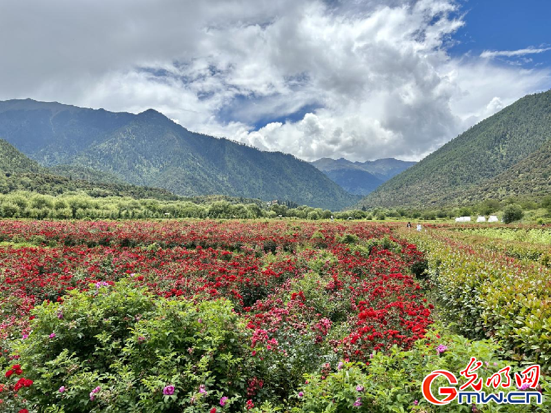 我们的家园丨【组图】 绿水青山入画，“金山银山”筑起