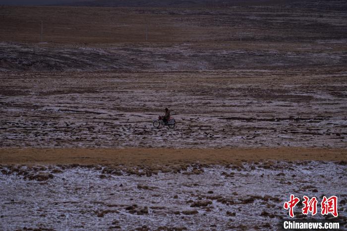 西藏安多：牧民雪中放牧美景如画