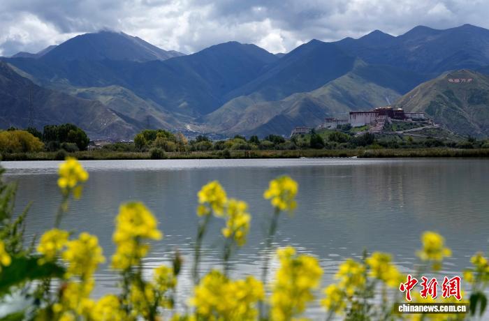 西藏拉鲁湿地秋意渐浓