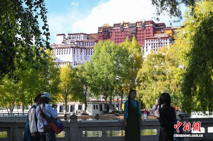 拉萨秋日：蓝天衬金叶古城焕新颜