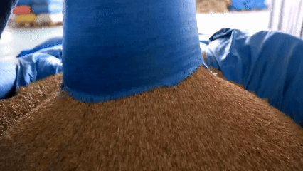 青稞“蜕变”,牦牛“出圈”!看西藏农牧民的“十四五”丰收答卷