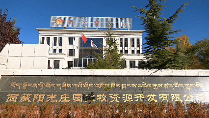 青稞“蜕变”,牦牛“出圈”!看西藏农牧民的“十四五”丰收答卷