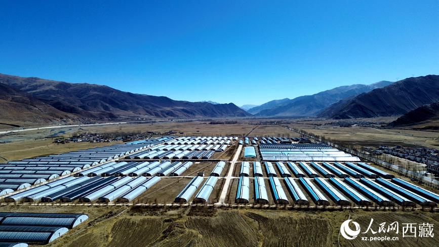 墨竹工卡县现代农业示范园。人民网记者 吴雨仁摄