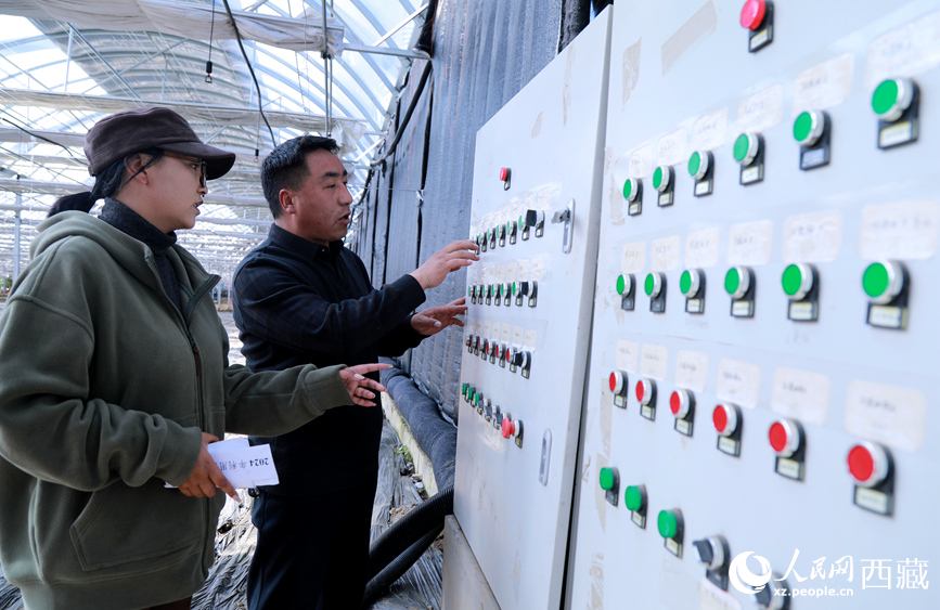 技术人员正在调整温室智能环境调控系统。人民网记者 吴雨仁摄
