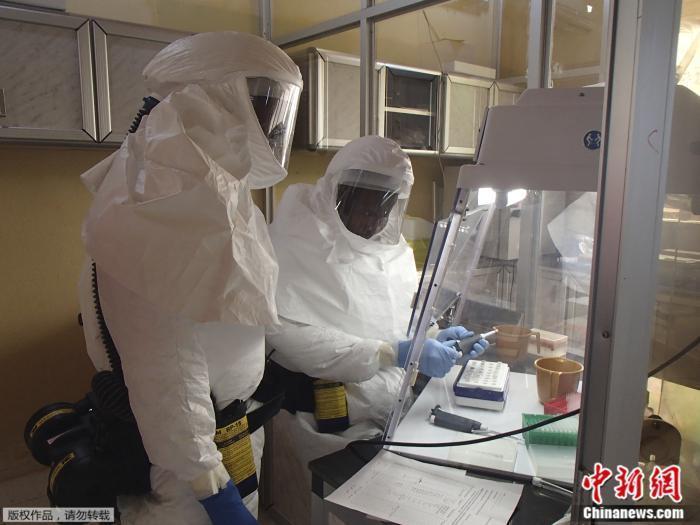 资料图：位于美国马里兰州德特里克堡的美国陆军传染病医学研究所的技术人员，在一个遏制埃博拉病毒的实验室里进行化验。