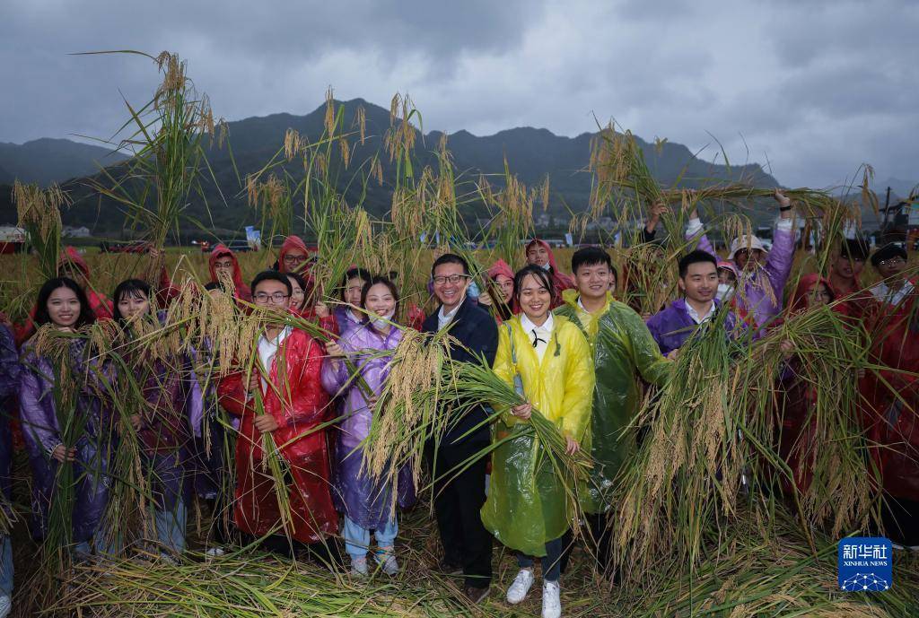 10月16日，游客在三都镇新和村袁隆平生态水稻种植基地与收割的“巨型稻”合影。