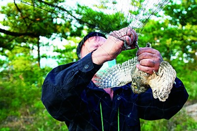 海之角山之巅 守护猛禽向南迁