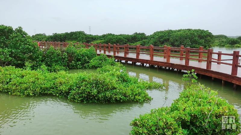 时政新闻眼丨习近平赴湛江考察，承载哪些战略考量？