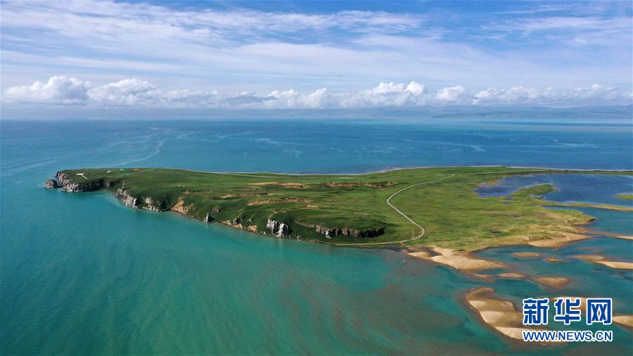 (美丽中国)(4)盛夏青海湖美如画