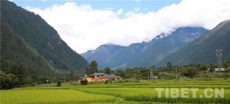 西藏察隅旅游资源探秘上察隅镇珞巴民俗村