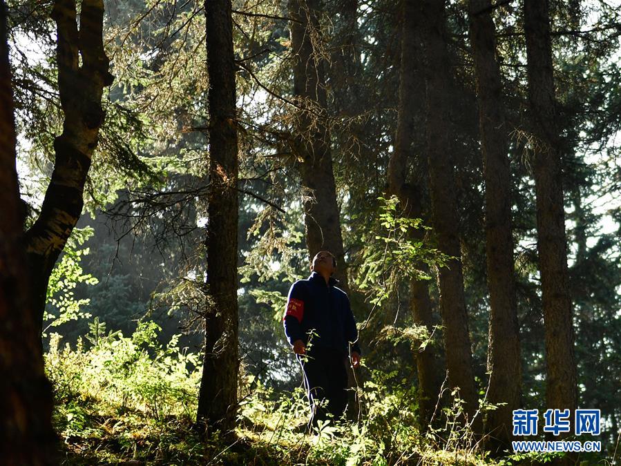 （全面建成小康社会“百城千县万村调研行”·图文互动）（9）青海卡阳村：“光棍村”的华丽转身