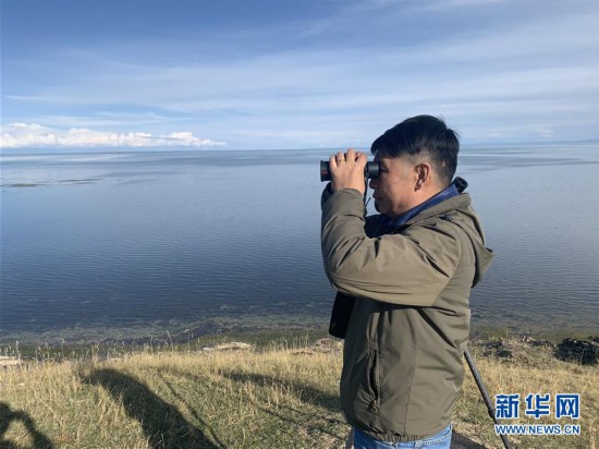 （新华全媒头条·图文互动）（9）大湖见证 ——持续保护让青海湖生态华丽“蝶变”