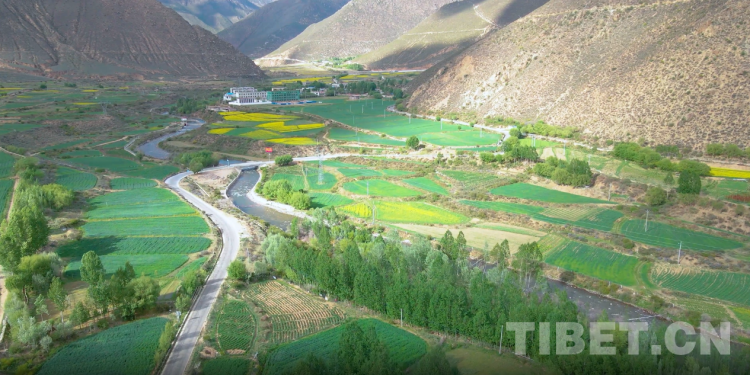西藏山南：护出一片“金山银山”