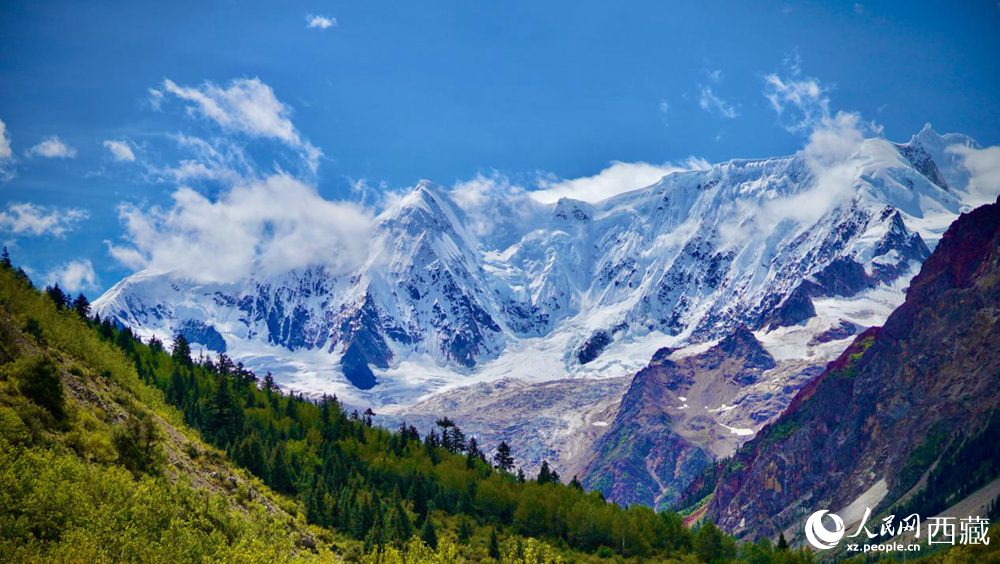 西藏林芝市波密县米堆冰川。人民网记者 次仁罗布摄
