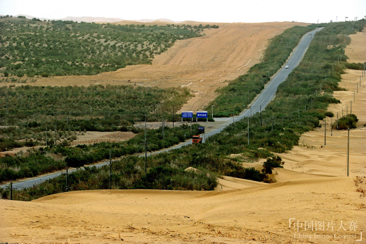 绿化大漠不是梦